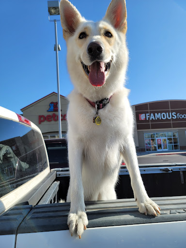 Pet Supply Store «Petco Animal Supplies», reviews and photos, 911 N Stratford Rd c, Moses Lake, WA 98837, USA