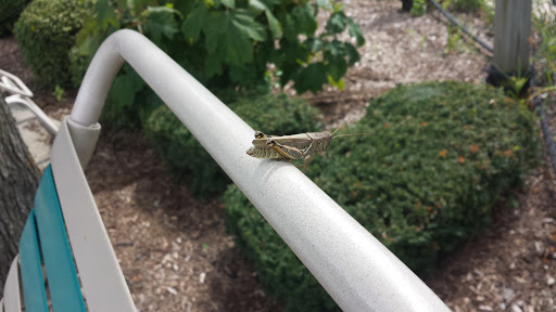 Water Park «Itasca Caribbean Water Park», reviews and photos, 100 Catalpa Ave, Itasca, IL 60143, USA