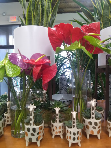 Florist «Englewood Florist, Inc.», reviews and photos, 47 E Palisade Ave, Englewood, NJ 07631, USA