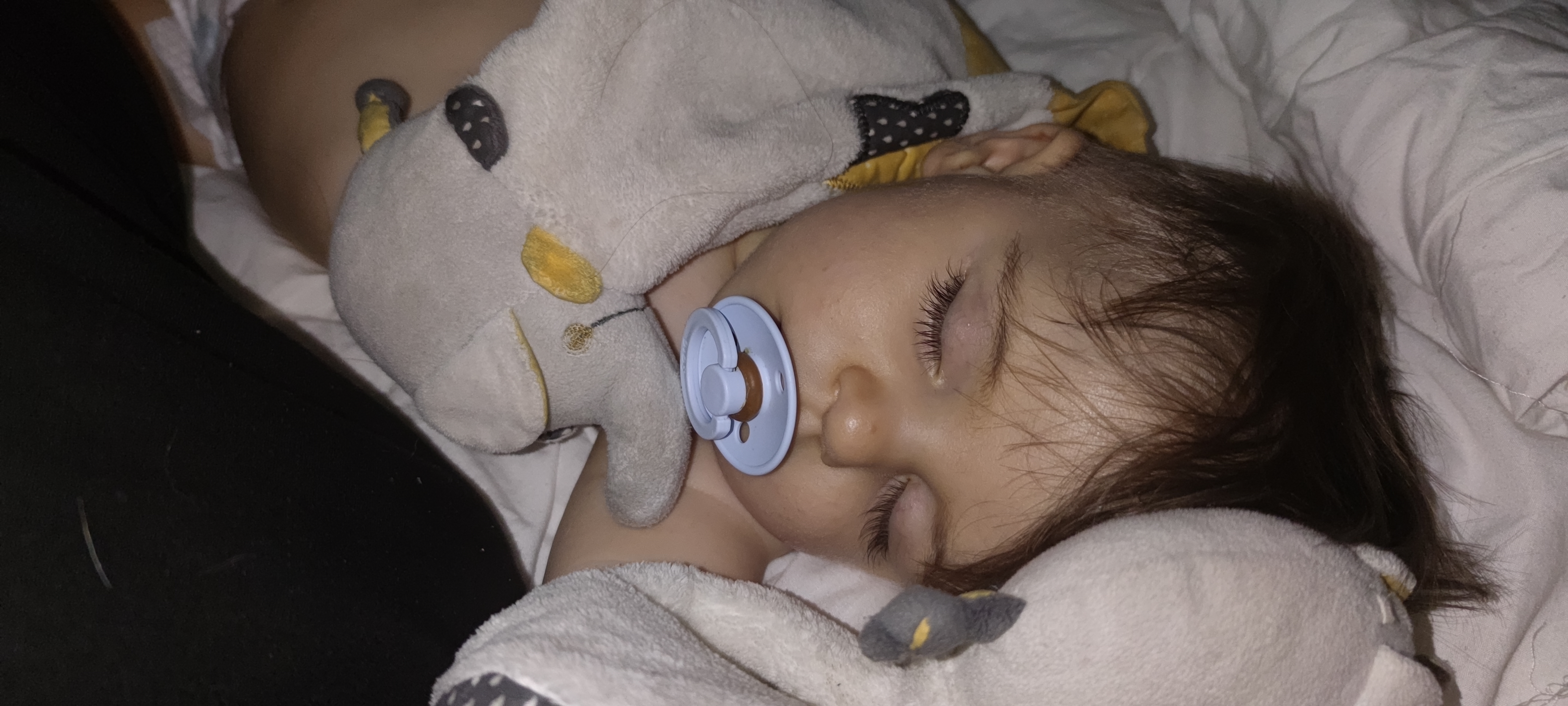 Photo n° 1 de l'avis de Cindy.o fait le 25/10/2021 à 08:51