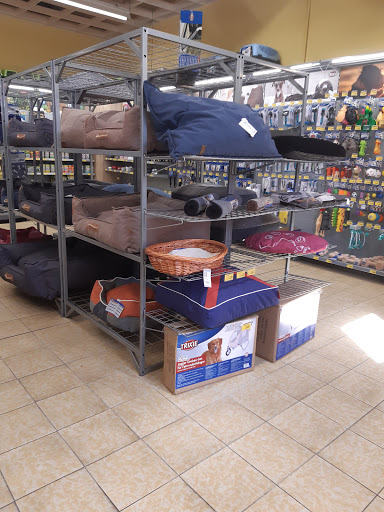 Zookauf - Damme unter Damme, 