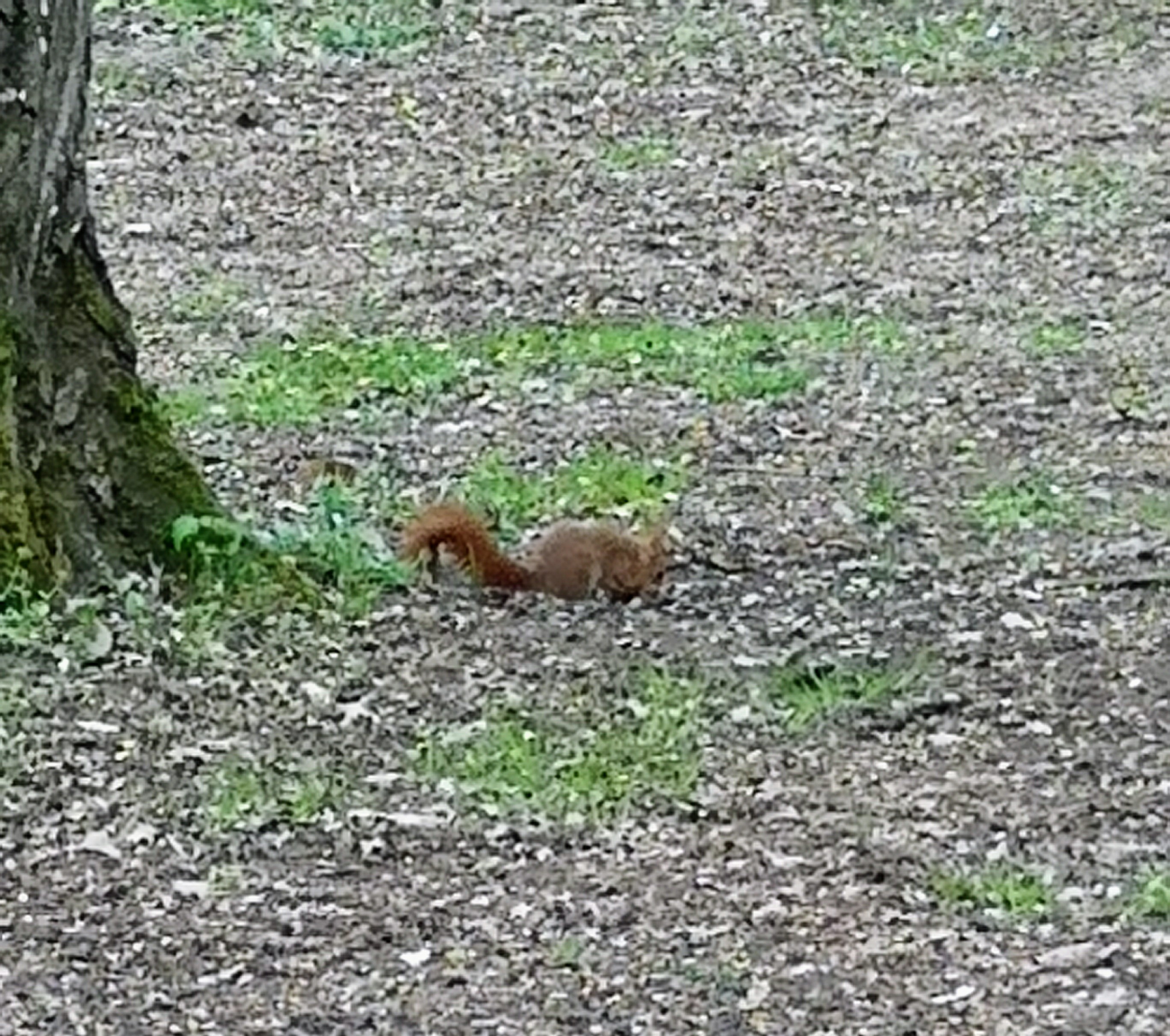 Photo n° 5 de l'avis de BERNADETTE.H fait le 16/08/2019 à 20:14