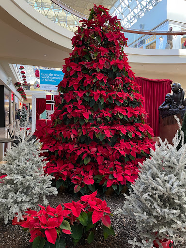 Shopping Mall «The Shops at Chestnut Hill», reviews and photos, 199 Boylston St, Chestnut Hill, MA 02467, USA