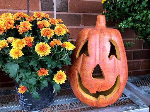 Grocery Store «Schnucks», reviews and photos, 141 Hilltown Village Center, Chesterfield, MO 63017, USA