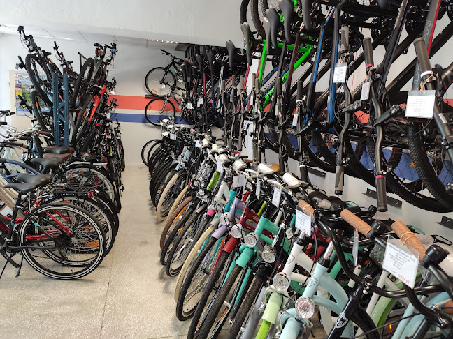 Comentarii opinii despre FAN-BIKE - Rowery, Hulajnogi, Wypożyczalnia, Serwis, Komis
