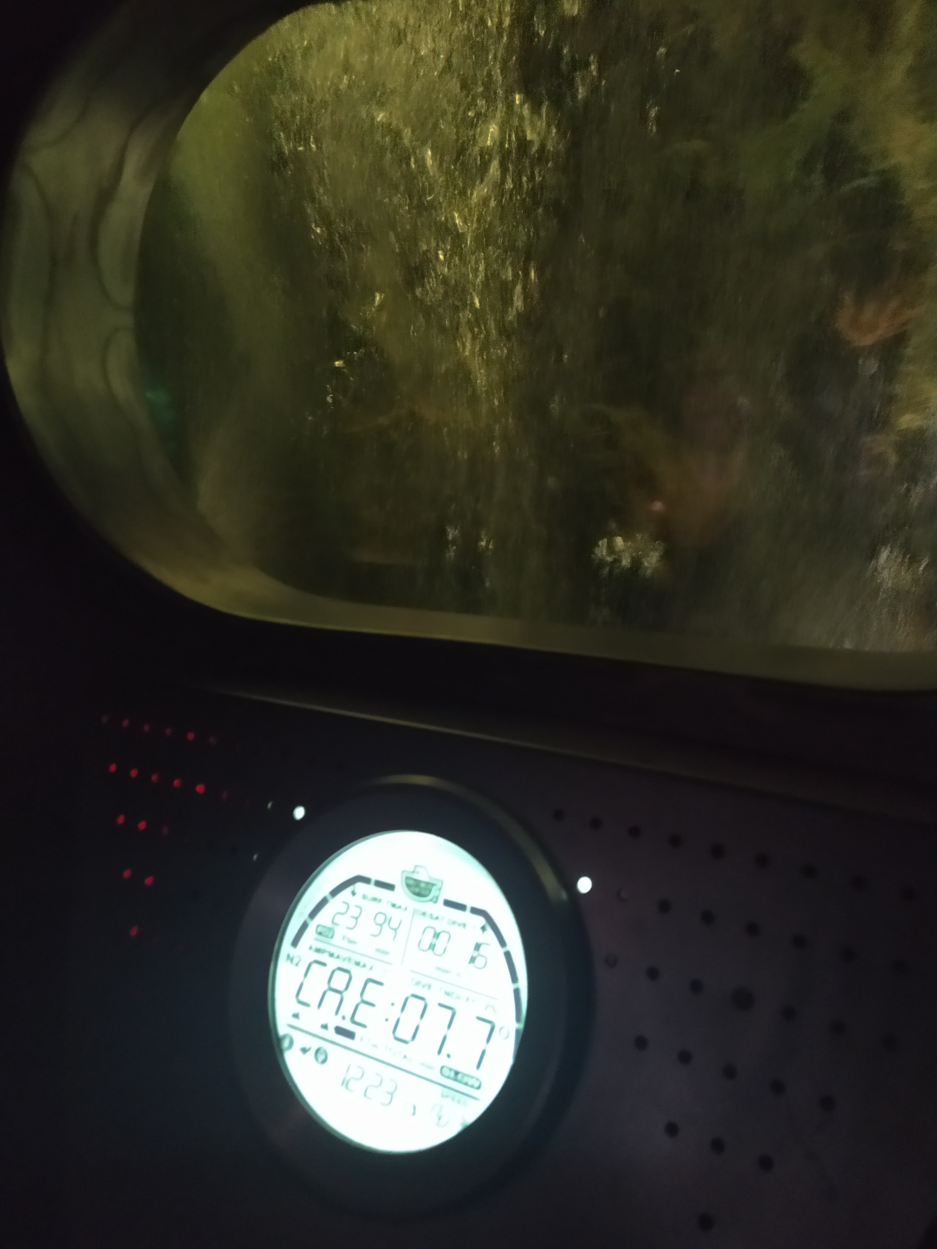 Photo n° 43 de l'avis de Phil. fait le 29/08/2022 à 17:36