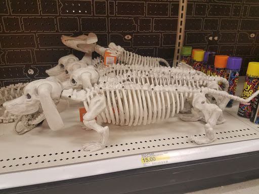 Department Store «Target», reviews and photos, 1111 Brook Forest Ave, Shorewood, IL 60404, USA