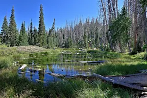 Alpine Pond Loop Trail image