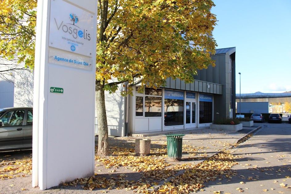 Vosgelis - agence de Saint-Dié à Saint-Dié-des-Vosges