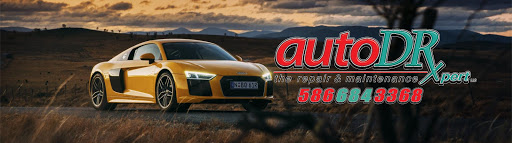 Auto Repair Shop «Auto DR», reviews and photos, 9317 Marine City Hwy, Ira Township, MI 48023, USA