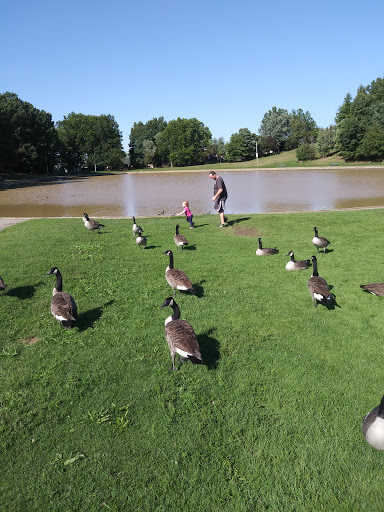 Park «Veterans Memorial Park», reviews and photos, 6328 State Road, Parma, OH 44134, USA