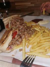 Porc effiloché du Kebab Restaurant bodrum à Paris - n°3