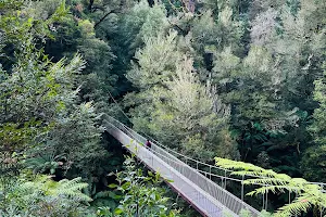 Corrigan Suspension Bridge image