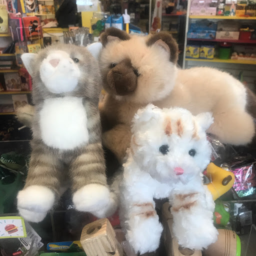 Toy Store «Toys Et Cetera», reviews and photos, 5311 N Clark St, Chicago, IL 60640, USA