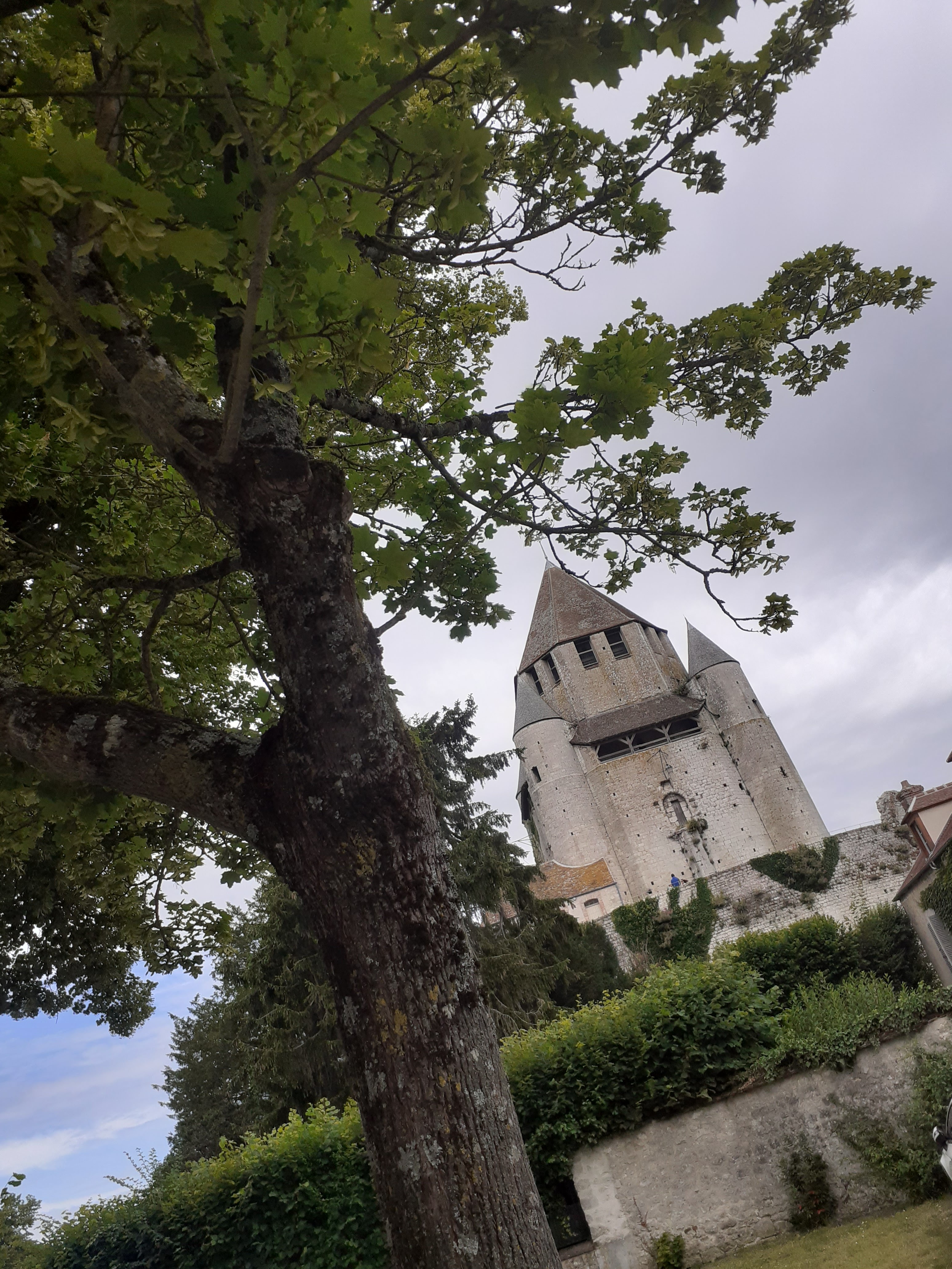 Photo n° 2 de l'avis de raoul.o fait le 21/06/2020 à 15:04