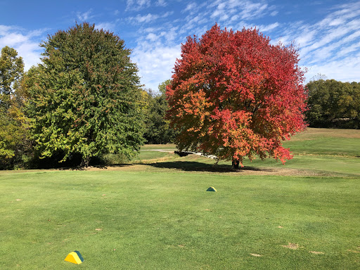 Public Golf Course «Fox Prairie Golf Course», reviews and photos, 8465 E 196th St, Noblesville, IN 46062, USA