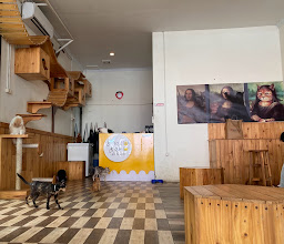 Dwarf Cat House and Coffee Shop photo
