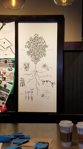 Coffee Shop «Starbucks», reviews and photos, 20055 Haggerty Rd, Northville, MI 48167, USA