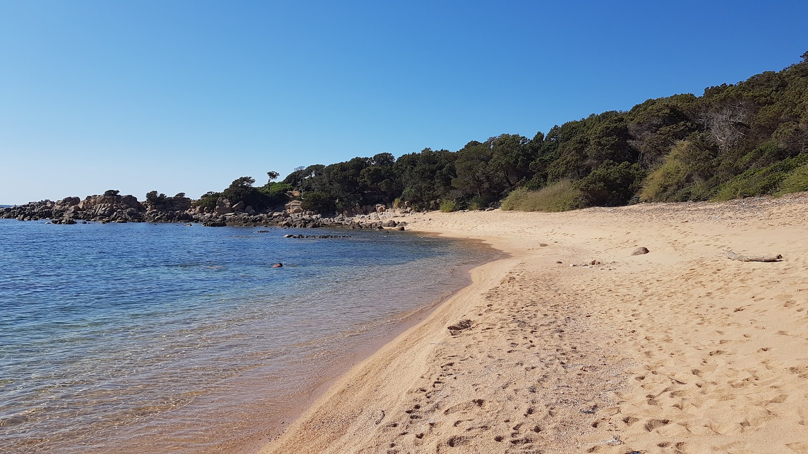 Foto de Arena Rossa II com areia bege fina superfície