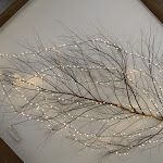 Photo n°1 de l'avis de Alessandro.o fait le 27/09/2021 à 04:48 sur le  Ristorante Pizzeria Weinstube Al Cardo à Pinzolo