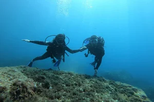 Blue Sea Diving Center image