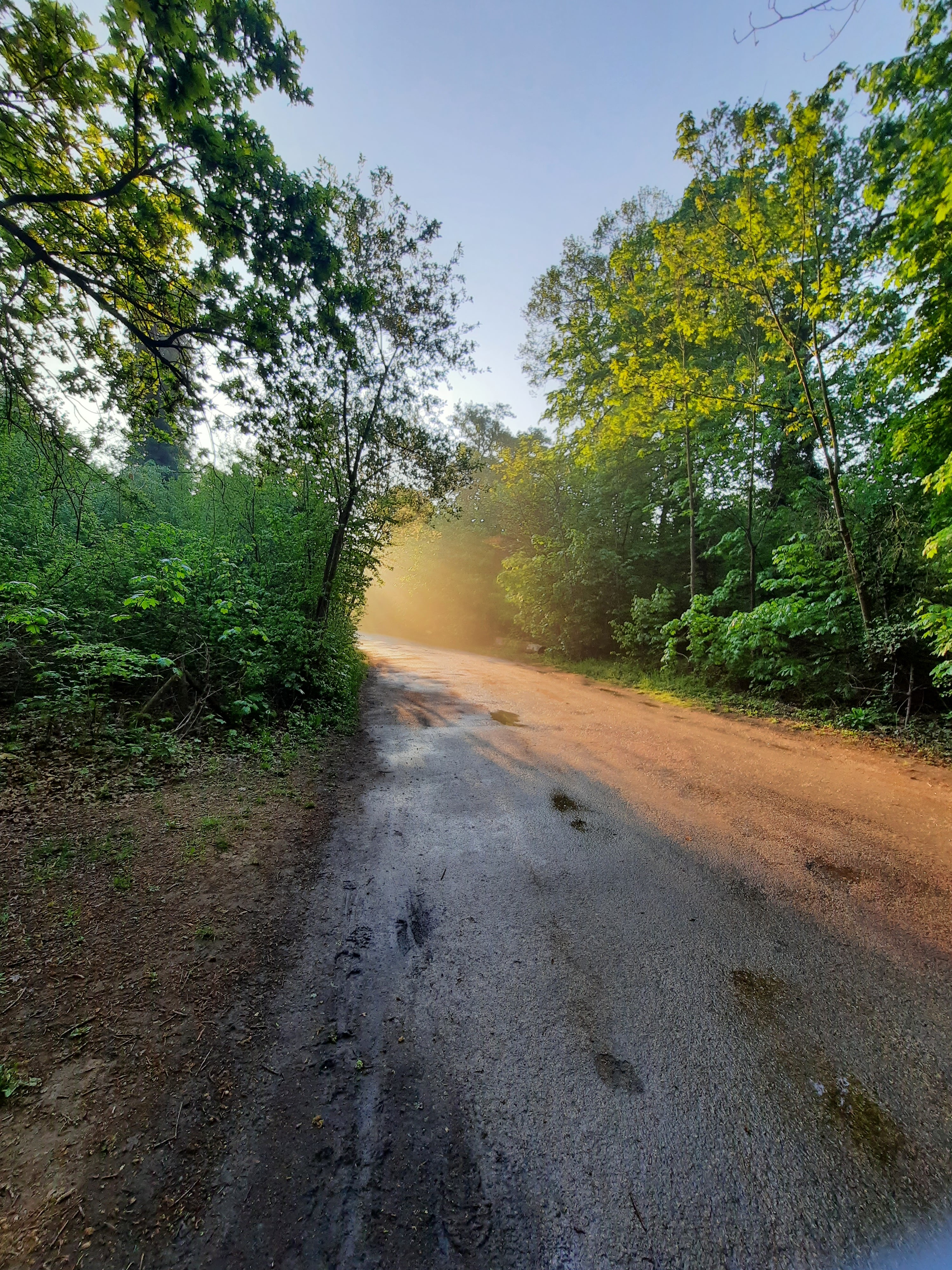 Photo n° 1 de l'avis de samy.t fait le 20/04/2021 à 19:47