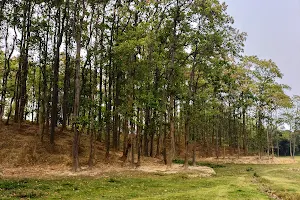 Gaurang Botanical Garden image