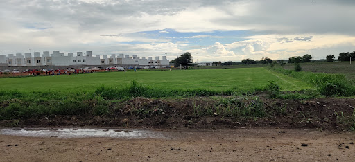 Campo de Fútbol Buyo