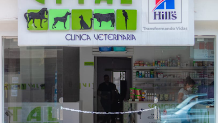 Clinica Veterinaria Vital Villeta