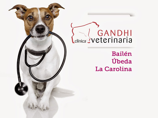 Clínica Veterinaria Gandhi Bailén en Bailén