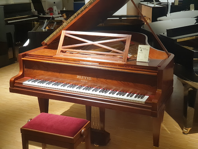 Rezensionen über Pianos-Service P.Fuhrer SA in Carouge - Musikgeschäft