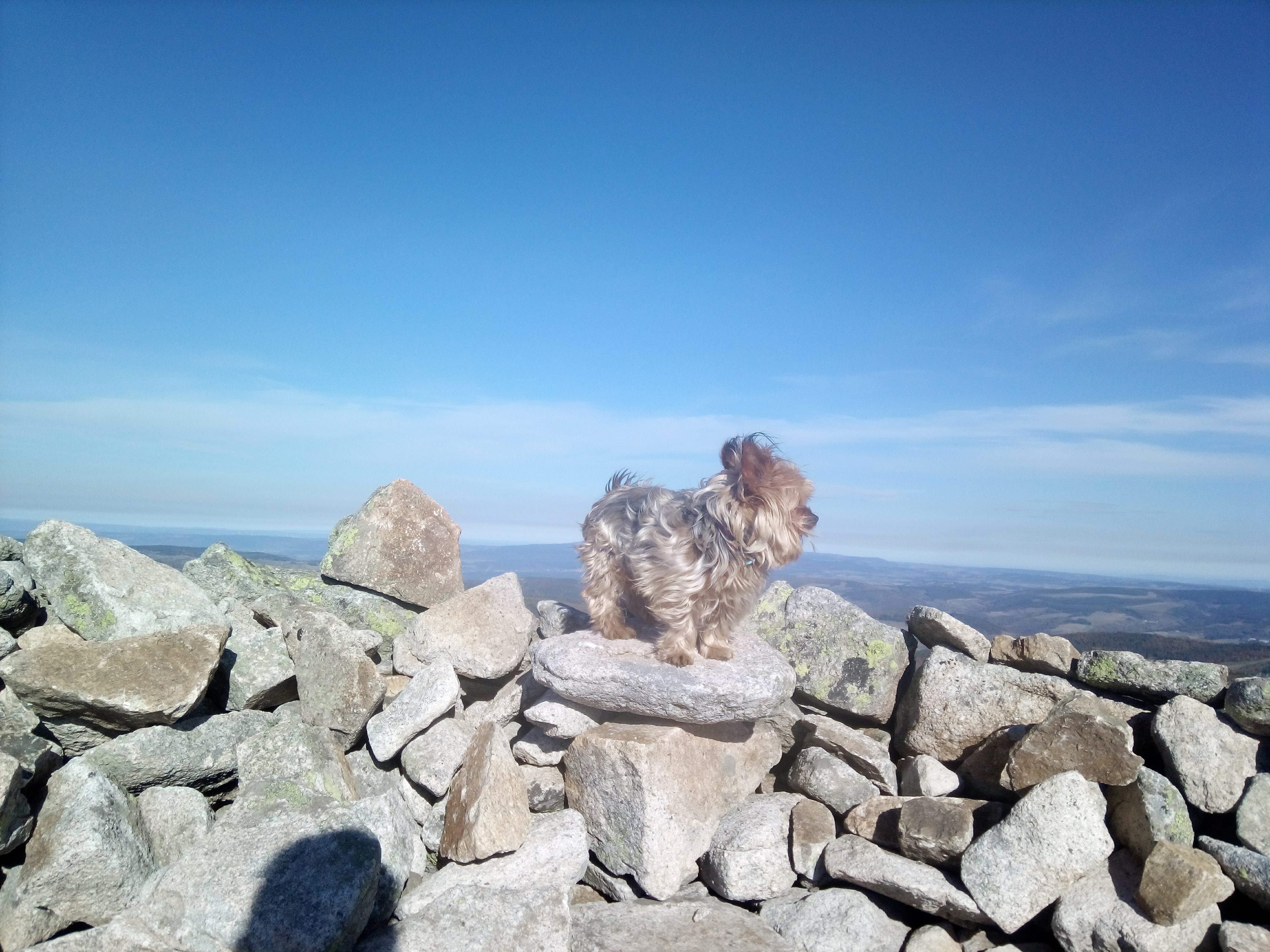 Photo n° 1 de l'avis de Laurent.e fait le 19/01/2018 à 07:36