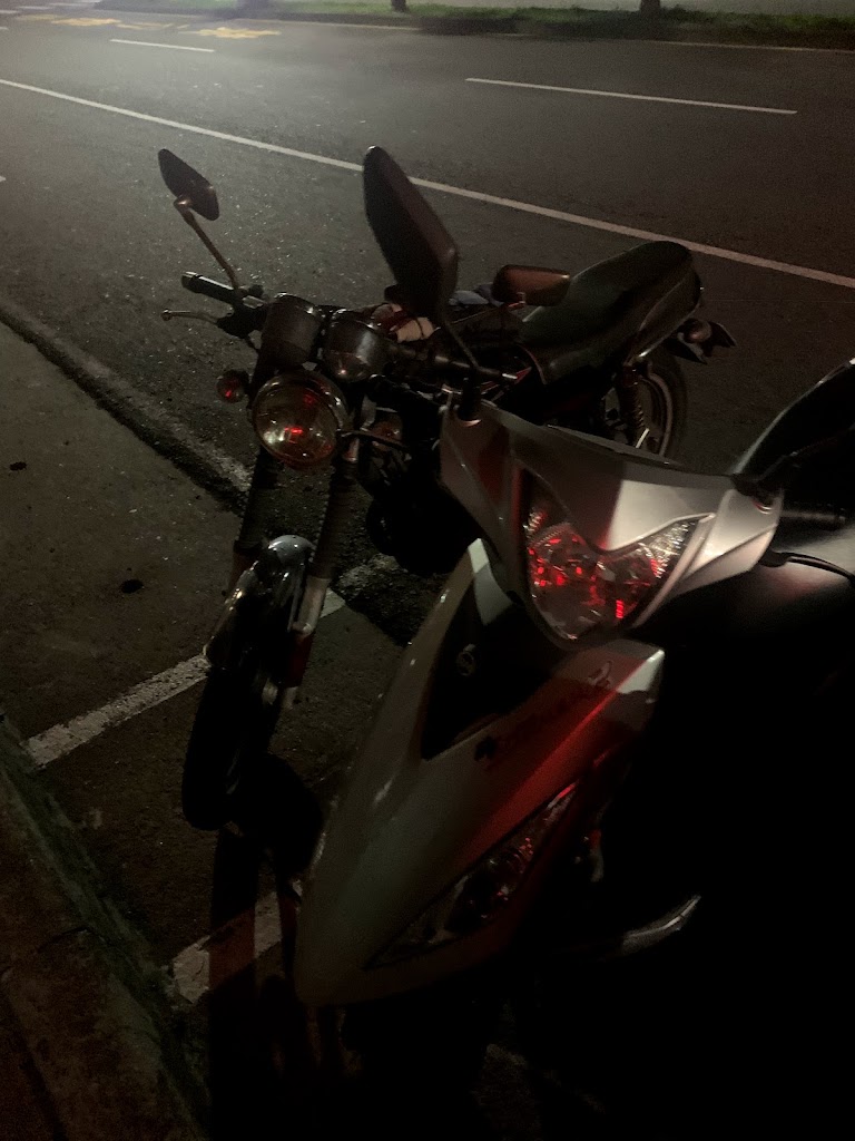 金記排骨酥 的照片