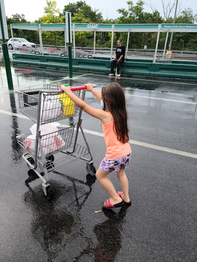 Grocery Store «Giant Food Stores», reviews and photos, 136 Kline Vlg, Harrisburg, PA 17104, USA