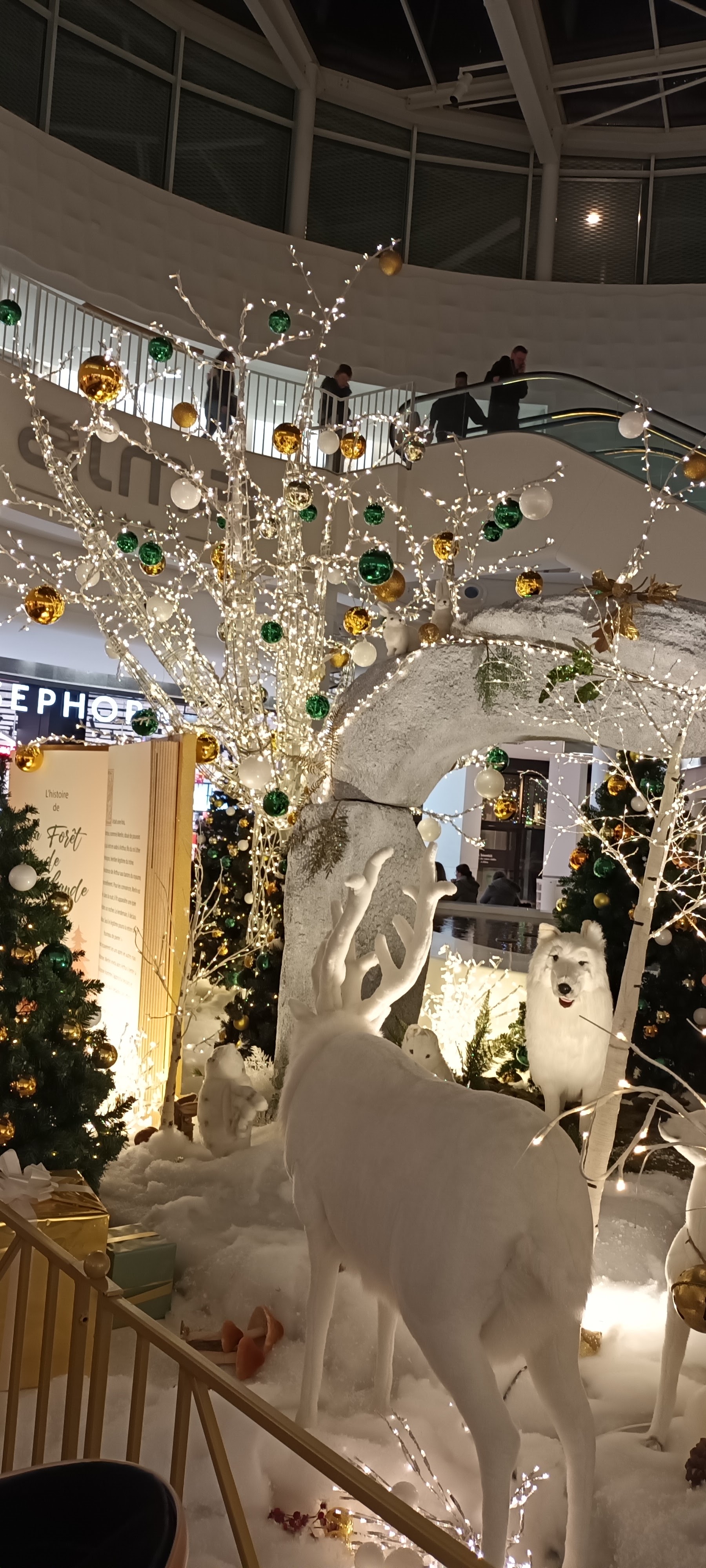 Photo n° 20 de l'avis de Renée.o fait le 11/12/2023 à 23:07