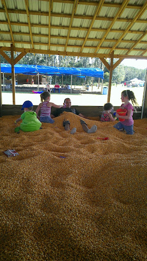 Ranch «Smith Family Ranch, LLC», reviews and photos, 13444 Moore Road, Lakeland, FL 33809, USA