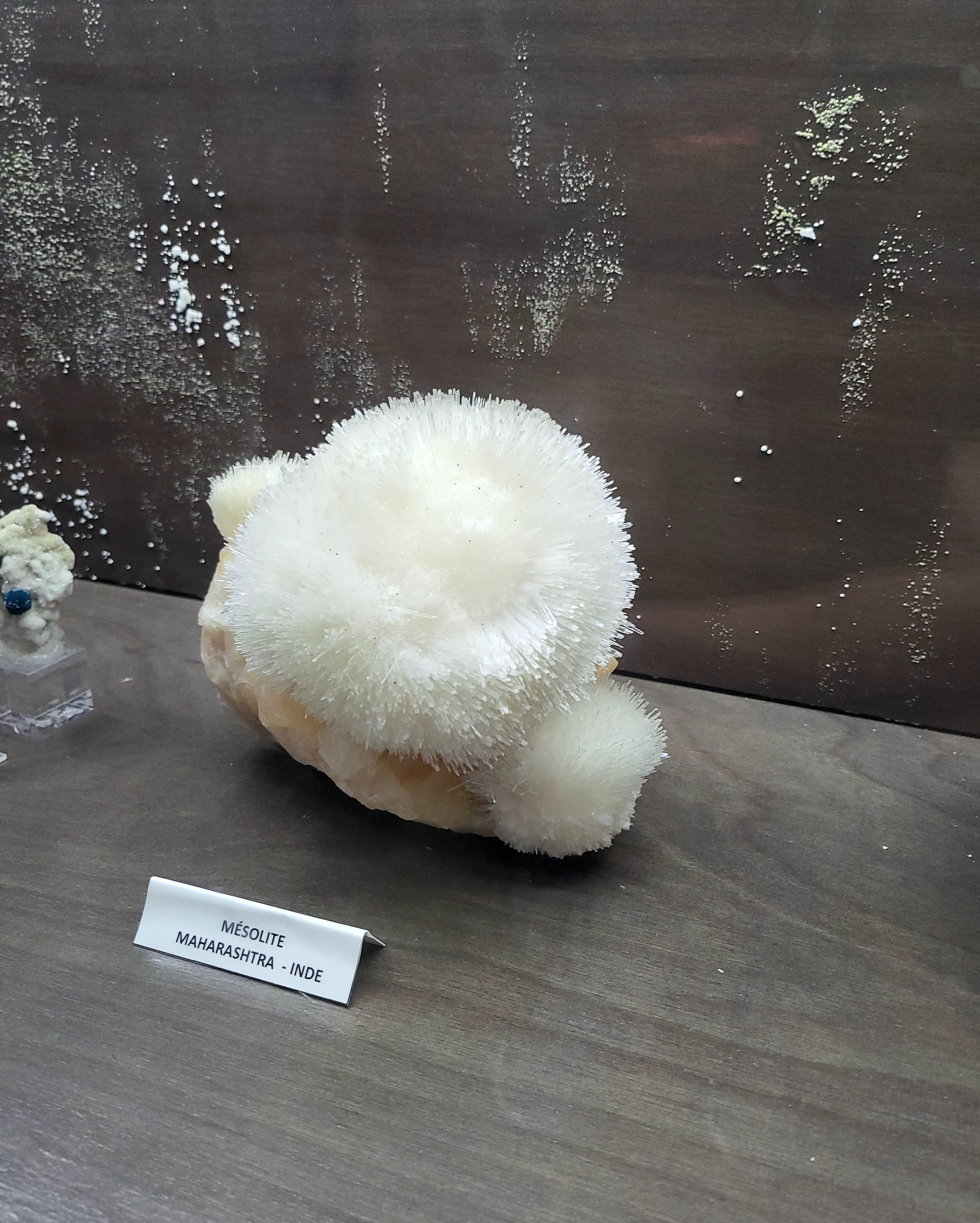 Photo n° 4 de l'avis de ludovic.a fait le 05/08/2023 à 05:51