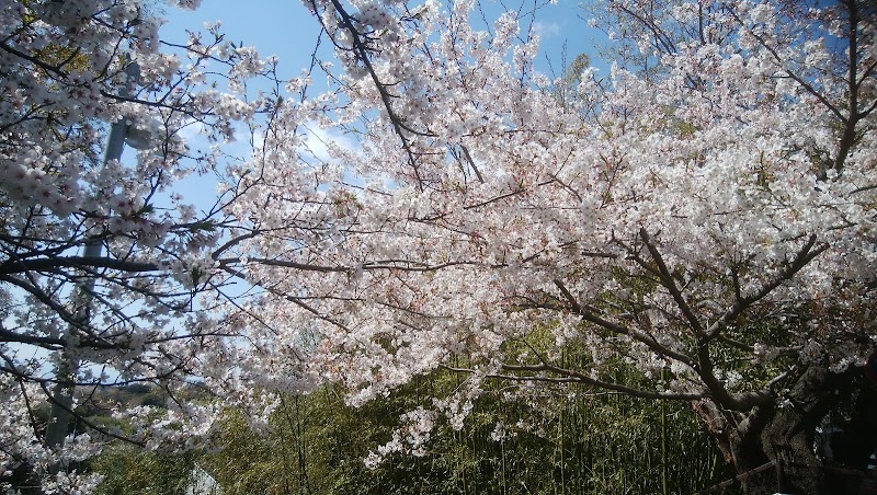 鎌倉山かりん公園