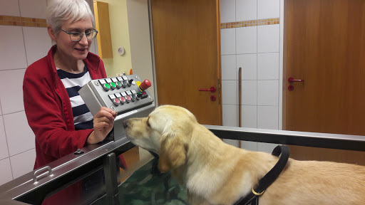 Modrei Karla Dr.med.vet. Tierärztin unter Iserlohn, 