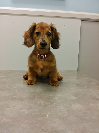 29503 W Jefferson Ave, Gibraltar, MI 48173, USA