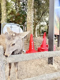 宝蔵院跡・宝蔵院流鎌槍発祥之地