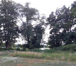 Dauerkleingartenverein \