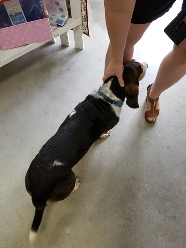 Quilt Shop «Cotton Patch Quilt Shop», reviews and photos, 8480 Cooper Creek Blvd, University Park, FL 34201, USA