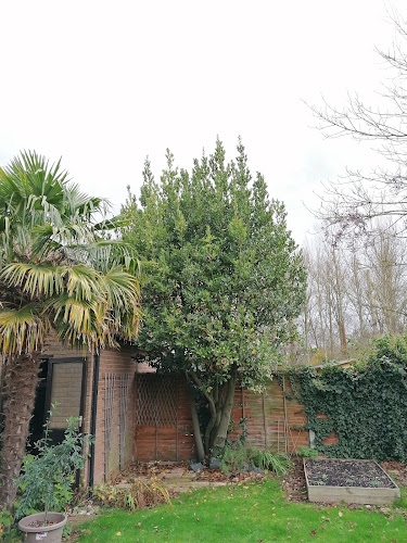 Barney Reece Tree & Garden Management - Colchester