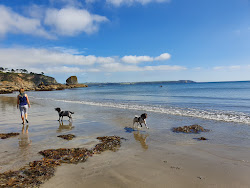 Foto von Duporth beach wilde gegend
