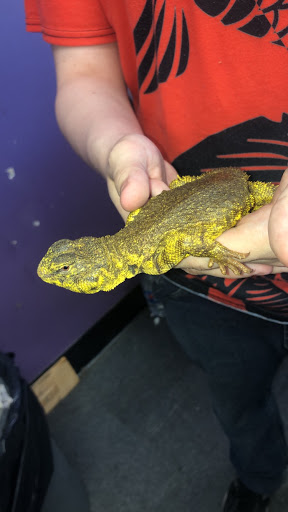 Pet Supply Store «Pet Supplies Plus», reviews and photos, 508 E Stroop Rd, Kettering, OH 45429, USA