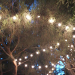 Photo n° 1 de l'avis de Caro.l fait le 07/08/2021 à 05:28 pour Villa Djunah à Antibes