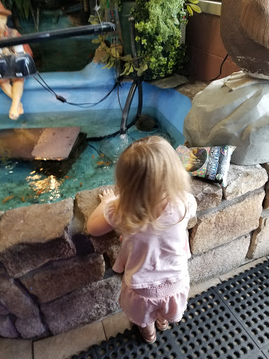 Pet Store «Critter Pet Shop», reviews and photos, 19309 Ecorse Rd, Allen Park, MI 48101, USA