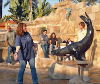 North Star Canines - Photo 4 - Car repair in , Danbury