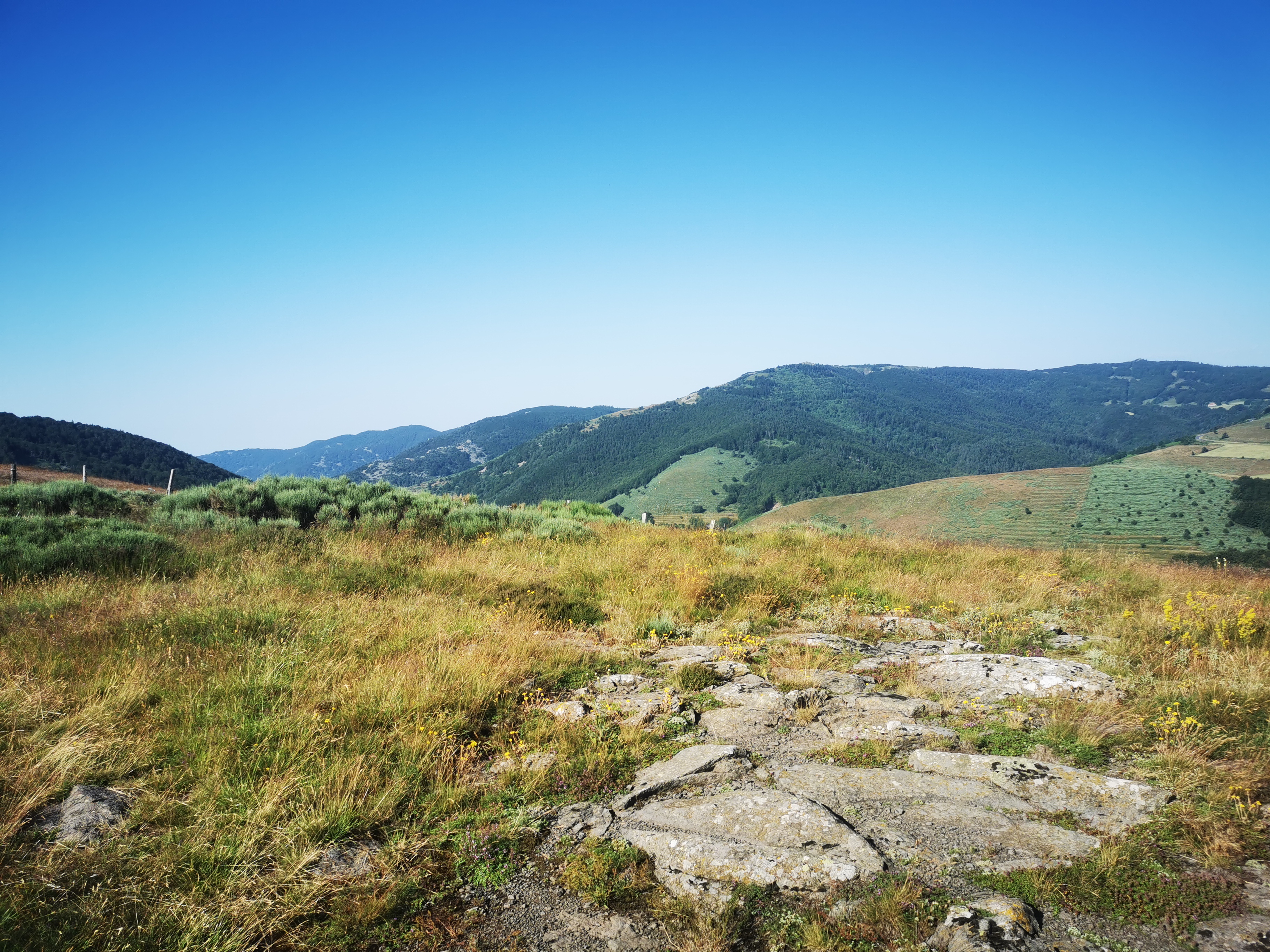 Photo n° 14 de l'avis de Seb. fait le 14/07/2023 à 04:55